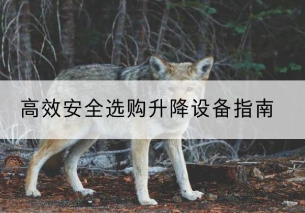 芙蓉升降货梯厂家推荐-*安全选购升降设备指南