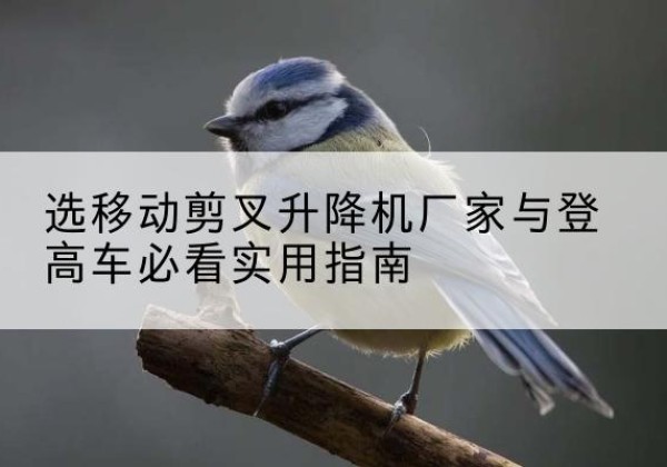 芙蓉电动升降机厂家-选移动剪叉升降机厂家与登高车必看实用指南