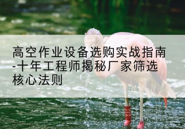 芙蓉剪叉式升降机厂家-高空作业设备选购实战指南-十年工程师揭秘厂家筛选核心法则